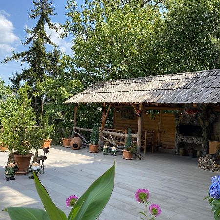 Anano'S Guesthouse Borjomi Exteriör bild