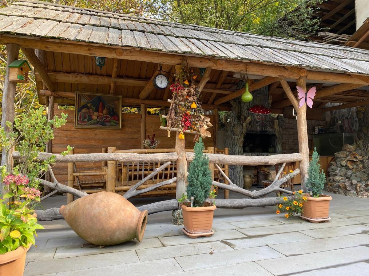 Anano'S Guesthouse Borjomi Exteriör bild