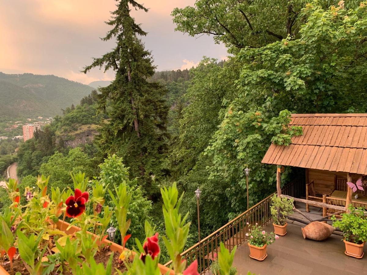 Anano'S Guesthouse Borjomi Exteriör bild