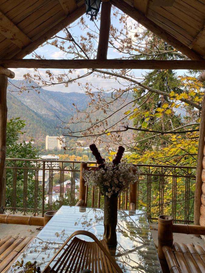 Anano'S Guesthouse Borjomi Exteriör bild