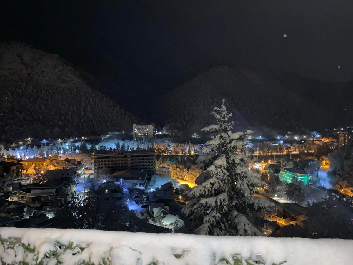 Anano'S Guesthouse Borjomi Exteriör bild