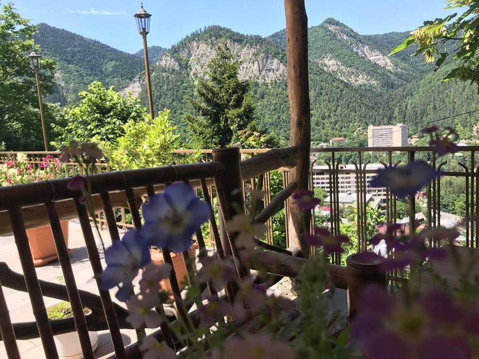 Anano'S Guesthouse Borjomi Exteriör bild